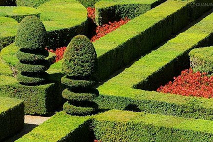 suncitygroup太阳集团·(中国)首页登录