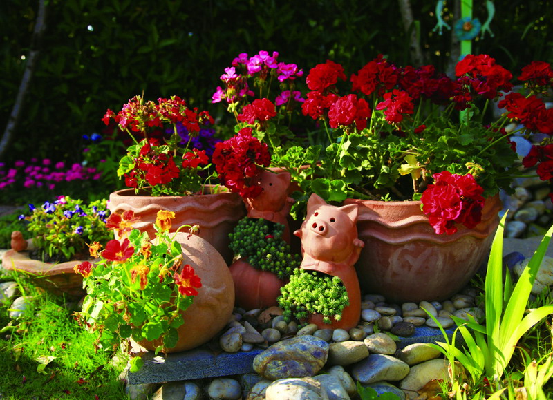 suncitygroup太阳集团·(中国)首页登录